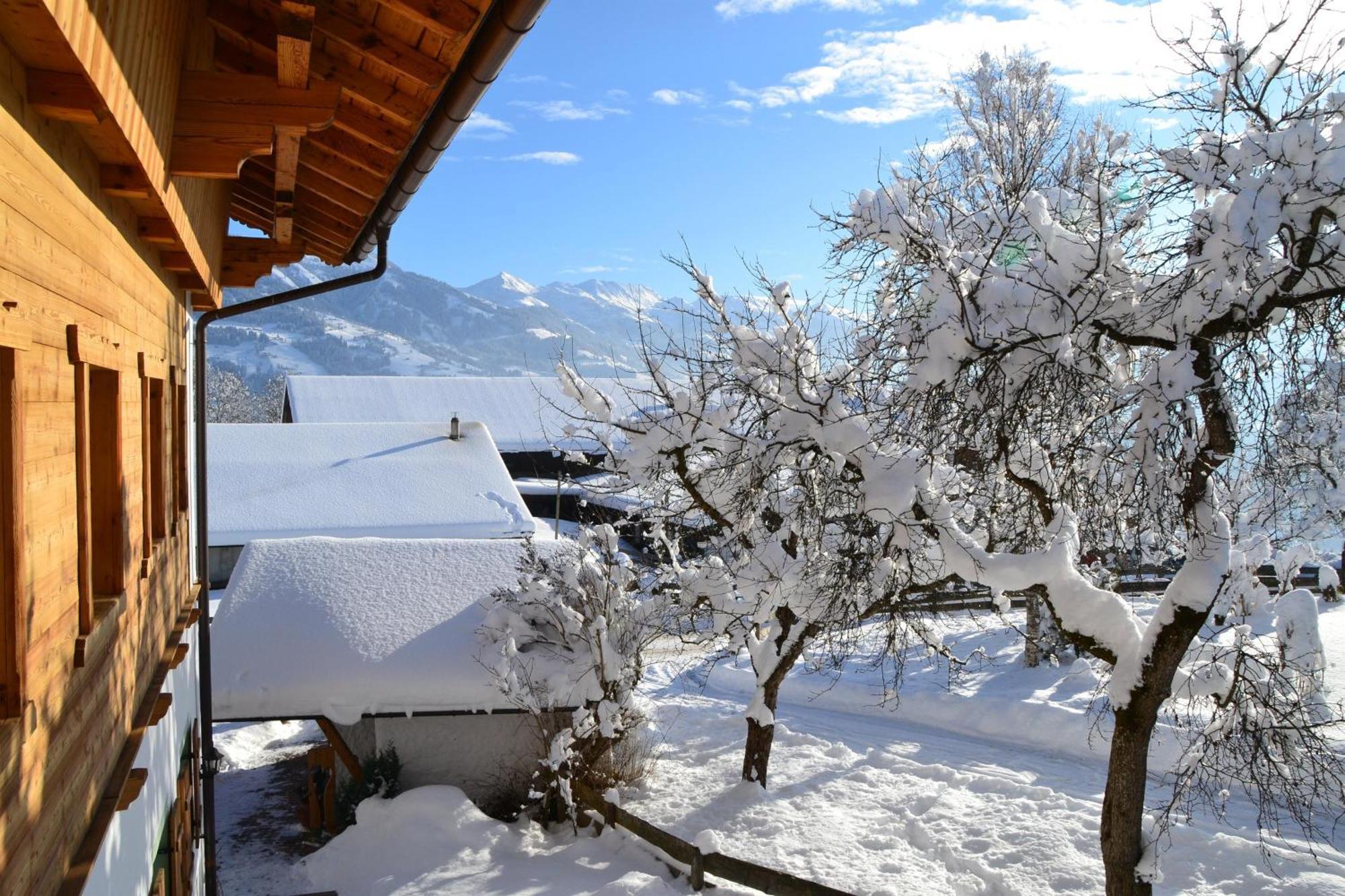 Biobauernhof Schuster Daire Hopfgarten im Brixental Dış mekan fotoğraf