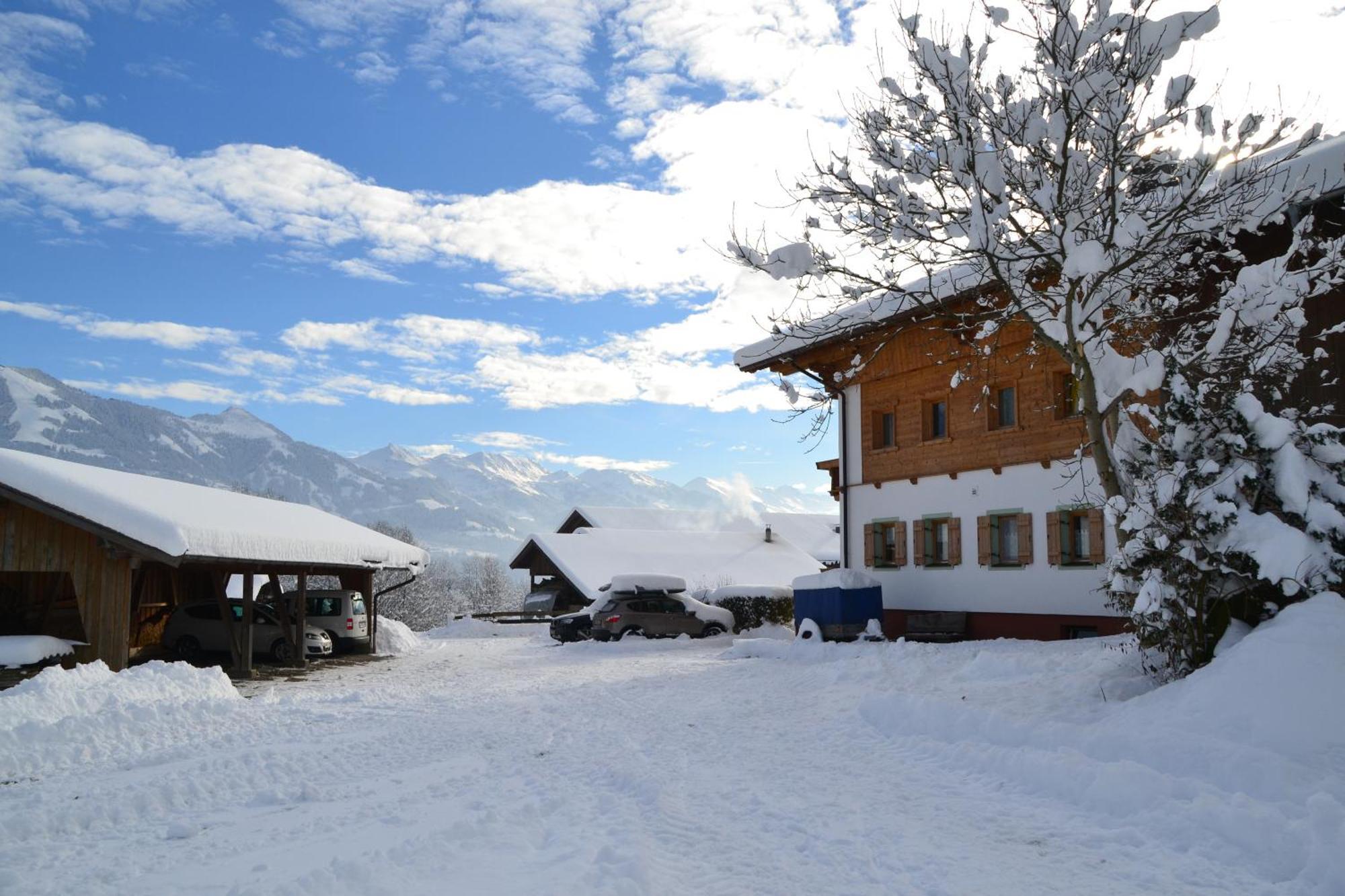 Biobauernhof Schuster Daire Hopfgarten im Brixental Dış mekan fotoğraf